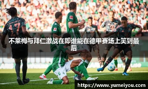 熊猫体育官方网址